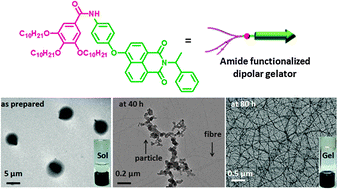 Graphical abstract: Slothful gelation of a dipolar building block by “top-down” morphology transition from microparticles to nanofibres