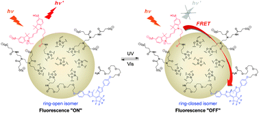 Graphical abstract: One-pot synthesis of monodispersed silica nanoparticles for diarylethene-based reversible fluorescence photoswitching in living cells