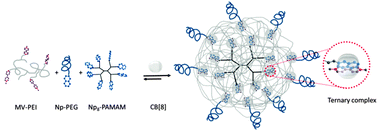 Graphical abstract: Size-tunable supramolecular nanoparticles mediated by ternary cucurbit[8]uril host–guest interactions