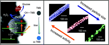 Graphical abstract: Controlled synthesis of spinel ZnFe2O4 decorated ZnO heterostructures as peroxidase mimetics for enhanced colorimetric biosensing