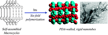 Graphical abstract: Rigid organic nanotubes obtained from phenylene-butadiynylene macrocycles