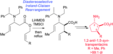 Graphical abstract: Asymmetric syntheses of enantiopure C(5)-substituted transpentacins via diastereoselective Ireland–Claisen rearrangements