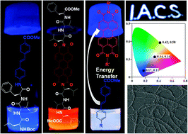 Graphical abstract: A peptide based two component white light emitting system