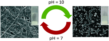 Graphical abstract: Glucose-cored poly(aryl ether) dendron based low molecular weight gels: pH controlled morphology and hybrid hydrogel formation