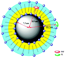 Graphical abstract: FRET-based characterisation of surfactant bilayer protected core–shell carbon nanoparticles: advancement toward carbon nanotechnology