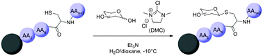 Graphical abstract: Solid phase synthesis of glycopeptides using Shoda's activation of unprotected carbohydrates