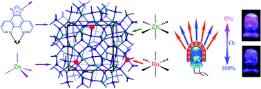 Graphical abstract: Phosphorescence doping in a flexible ultramicroporous framework for high and tunable oxygen sensing efficiency