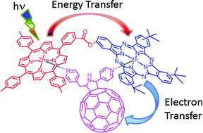 Graphical abstract: A ‘two-point’ bound zinc porphyrin–zinc phthalocyanine–fullerene supramolecular triad for sequential energy and electron transfer
