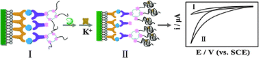 Graphical abstract: A dual-functional electrochemical biosensor for the detection of prostate specific antigen and telomerase activity