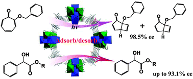 Graphical abstract: A homochiral porous metal–organic framework for enantioselective adsorption of mandelates and photocyclizaton of tropolone ethers