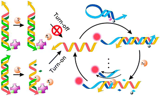 Graphical abstract: Ultrasensitive detection of small molecule–protein interaction via terminal protection of small molecule linked DNA and Exo III-aided DNA recycling amplification