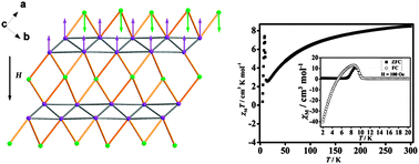 Graphical abstract: A homospin cobalt(ii) topological ferrimagnet