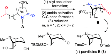 Graphical abstract: Versatile construction of functionalized tropane ring systems based on lactam activation: enantioselective synthesis of (+)-pervilleine B