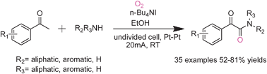 Graphical abstract: A novel approach for the one-pot preparation of α-ketoamides by anodic oxidation