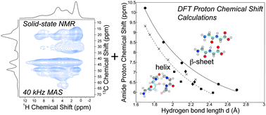 Graphical abstract: Determining hydrogen-bond interactions in spider silk with 1H–13C HETCOR fast MAS solid-state NMR and DFT proton chemical shift calculations