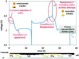 Graphical abstract: New insight into the working mechanism of lithium–sulfur batteries: in situ and operando X-ray diffraction characterization