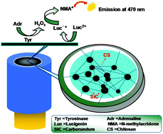 Graphical abstract: An electrochemiluminescence sensor for adrenaline assay based on the tyrosinase/SiC/chitosan modified electrode