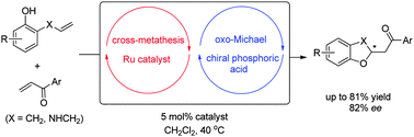 Graphical abstract: Enantioselective synthesis of benzofurans and benzoxazines via an olefin cross-metathesis–intramolecular oxo-Michael reaction