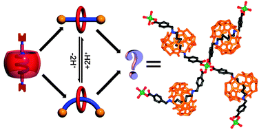 Graphical abstract: Metal ion directed metal–organic rotaxane frameworks with intrinsic features of self-penetration and interpenetration