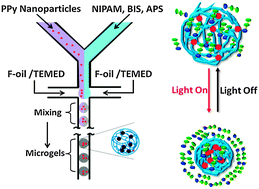 Graphical abstract: Near-infrared photothermal activation of microgels incorporating polypyrrole nanotransducers through droplet microfluidics