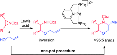 Graphical abstract: Stereoselective synthesis of 2,5-disubstituted morpholines using a palladium-catalyzed hydroamination reaction