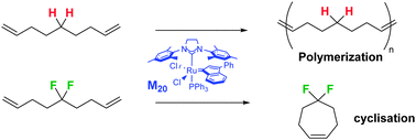 Graphical abstract: Accelerating influence of the gem-difluoromethylene group in a ring-closing olefin metathesis reaction. A Thorpe–Ingold effect?