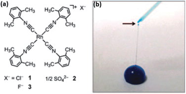 Graphical abstract: Supramolecular chemistry of metal complexes in solution