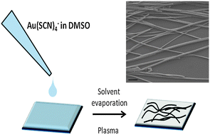 Graphical abstract: Transparent, conductive gold nanowire networks assembled from soluble Au thiocyanate