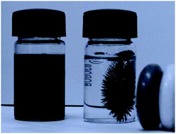 Graphical abstract: Microcystin-LR removal from aqueous solutions using a magnetically separable N-doped TiO2 nanocomposite under visible light irradiation