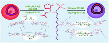 Graphical abstract: Vesicles and reverse vesicles of an ionic liquid in ionic liquids