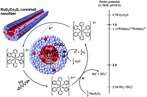 Graphical abstract: Bi-functional RuO2–Co3O4 core–shell nanofibers as a multi-component one-dimensional water oxidation catalyst