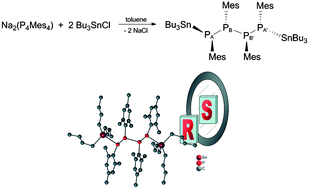 Graphical abstract: 1,2,3,4-Tetramesityl-1,4-bis(tri-n-butyltin)tetraphosphane: synthesis and molecular structure