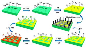 Graphical abstract: A facile method to immobilize cucurbituril on surfaces through photocrosslinking with azido groups