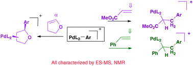 Graphical abstract: Reactive intermediates in catalytic alkenylation; pathways for Mizoroki–Heck, oxidative Heck and Fujiwara–Moritani reactions