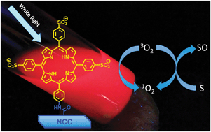 Graphical abstract: Nanocrystalline cellulose–porphyrin hybrids: synthesis, supramolecular properties, and singlet-oxygen production