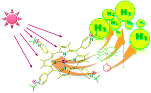 Graphical abstract: Photocatalytic hydrogen production from a noble metal free system based on a water soluble porphyrin derivative and a cobaloxime catalyst