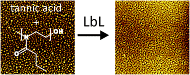 Graphical abstract: Hydrogen bonded polymeric multilayer films assembled below and above the cloud point temperature