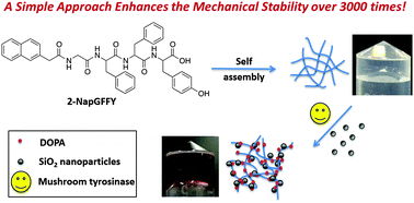 Graphical abstract: An enzyme-assisted nanoparticle crosslinking approach to enhance the mechanical strength of peptide-based supramolecular hydrogels