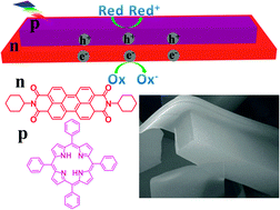 Graphical abstract: One-step growth of organic single-crystal p–n nano-heterojunctions with enhanced visible-light photocatalytic activity