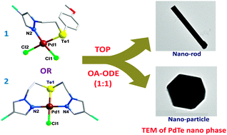 Graphical abstract: Single source precursor routes for synthesis of PdTe nanorods and particles: solvent dependent control of shapes