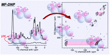 Graphical abstract: Matrix-free dynamic nuclear polarization enables solid-state NMR 13C–13C correlation spectroscopy of proteins at natural isotopic abundance