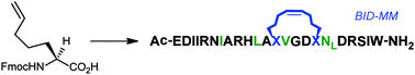 Graphical abstract: Monosubstituted alkenyl amino acids for peptide “stapling”