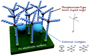 Graphical abstract: A phosphonium-type ionic liquid-modified Au electrode: a new platform for entrapping functional molecules on substrate surfaces