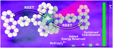 Graphical abstract: Ruthenium(ii) complexes based on tridentate polypyridine ligands that feature long-lived room-temperature luminescence