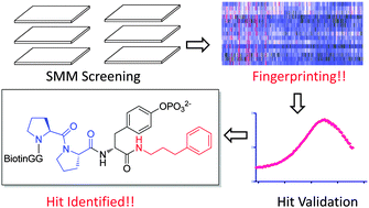 Graphical abstract: Profiling human Src homology 2 (SH2) domain proteins and ligand discovery using a peptide-hybrid small molecule microarray