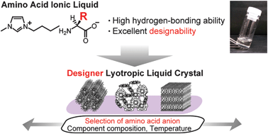 Graphical abstract: Designer lyotropic liquid-crystalline systems containing amino acid ionic liquids as self-organisation media of amphiphiles