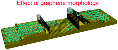Graphical abstract: Oligothiophenes on CVD graphene grown on multi-crystalline copper foil: supramolecular assembly and impact of morphology