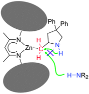 Graphical abstract: Evidence for the formation of a metal alkyl intermediate in the zinc mediated intramolecular hydroamination