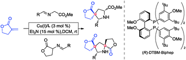 Graphical abstract: exo-Selective construction of spiro-[butyrolactone-pyrrolidine] via 1,3-dipolar cycloaddition of azomethine ylides with α-methylene-γ-butyrolactone catalyzed by Cu(i)/DTBM-BIPHEP