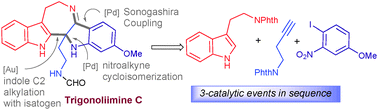 Graphical abstract: A modular total synthesis of (±)-trigonoliimine C